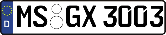 MS-GX3003