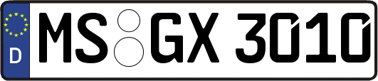 MS-GX3010