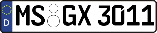 MS-GX3011