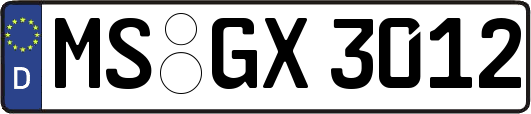 MS-GX3012
