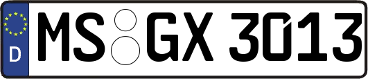 MS-GX3013