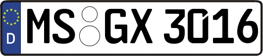 MS-GX3016
