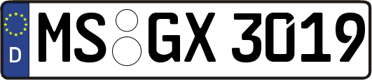 MS-GX3019
