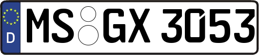 MS-GX3053