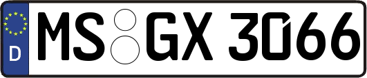 MS-GX3066