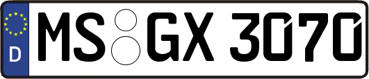 MS-GX3070