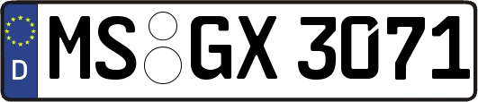 MS-GX3071