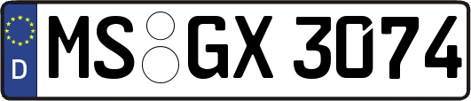 MS-GX3074