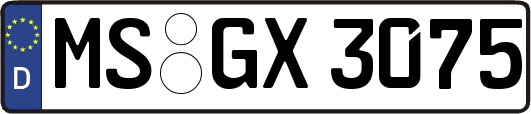 MS-GX3075