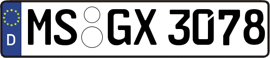 MS-GX3078