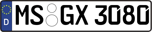 MS-GX3080