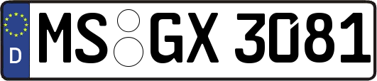MS-GX3081