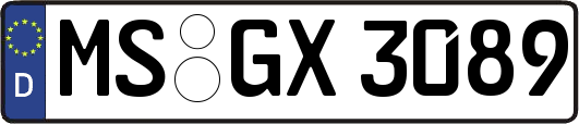 MS-GX3089