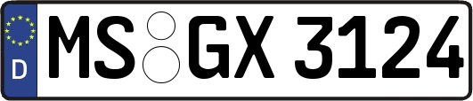 MS-GX3124