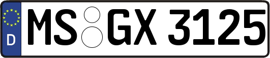 MS-GX3125