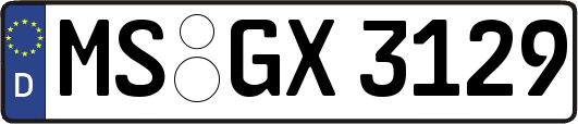 MS-GX3129