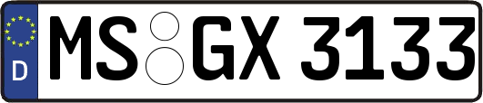 MS-GX3133