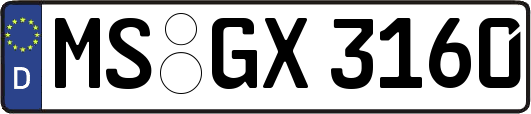 MS-GX3160