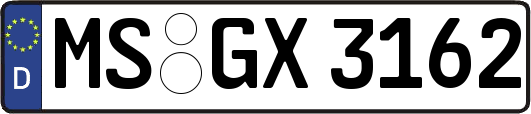 MS-GX3162