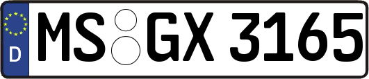 MS-GX3165