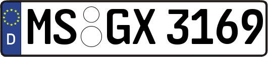 MS-GX3169