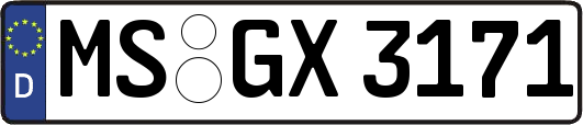 MS-GX3171