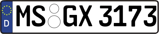 MS-GX3173