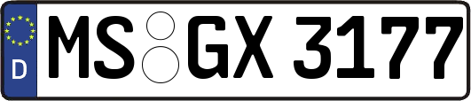 MS-GX3177