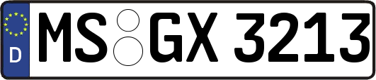MS-GX3213