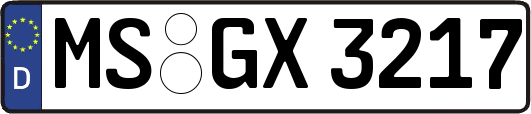 MS-GX3217