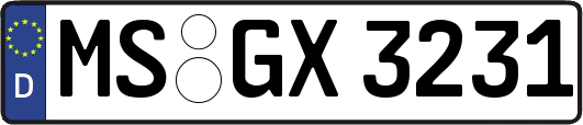 MS-GX3231