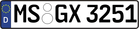 MS-GX3251