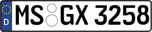 MS-GX3258