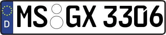 MS-GX3306