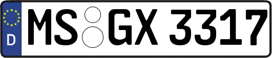 MS-GX3317