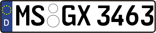 MS-GX3463