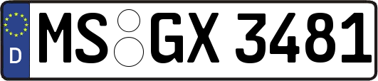MS-GX3481