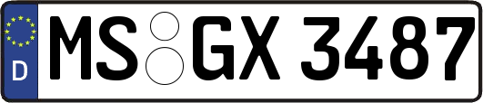 MS-GX3487