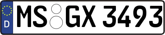 MS-GX3493