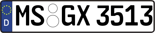 MS-GX3513