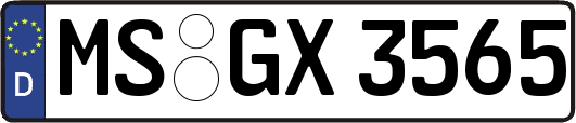 MS-GX3565