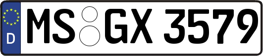 MS-GX3579