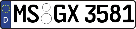 MS-GX3581
