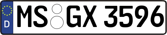 MS-GX3596