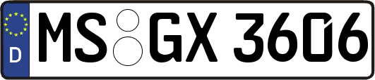 MS-GX3606