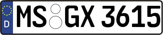 MS-GX3615