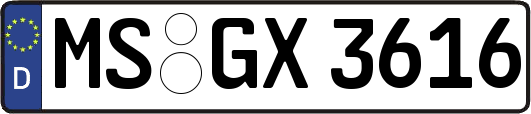 MS-GX3616