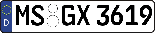 MS-GX3619