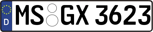MS-GX3623