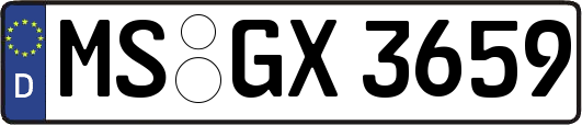 MS-GX3659